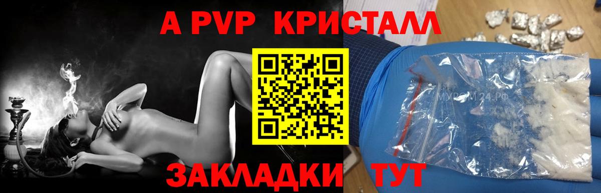 А ПВП СК Сальск